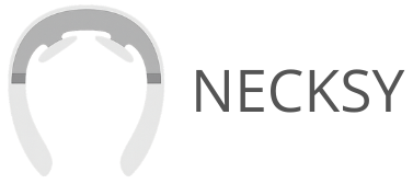 Necksy Store